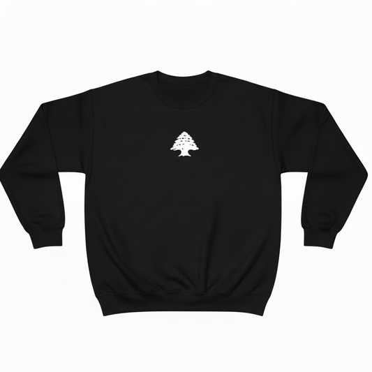black sweatshirt on a white background with cedar on it in white and written from beirut