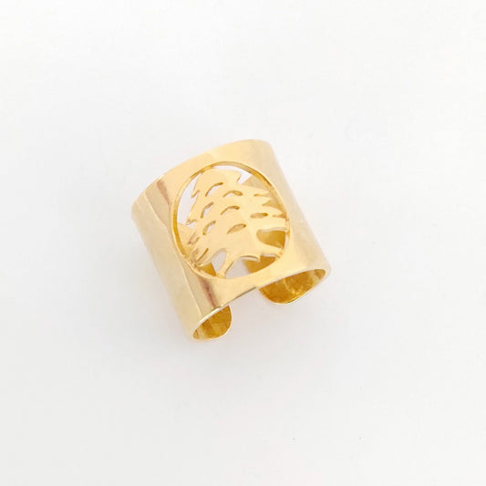 Adjustable 18K Gold Ring Front View by Demirelli, handcrafted jewelry showcasing elegant design and premium gold craftsmanship